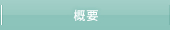 概要